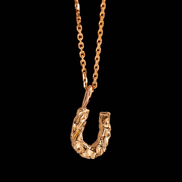Pine Horse Shoe necklace